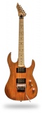 B.C.Rich USGSO